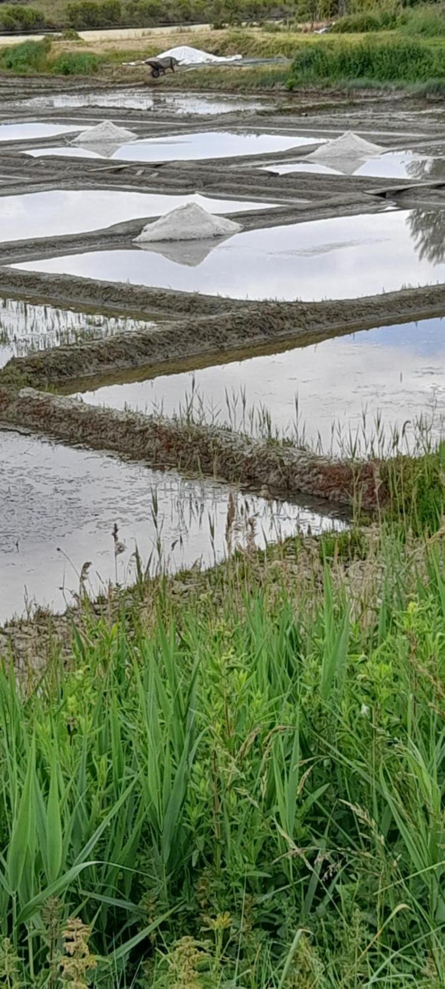 Appartement Les Pieds Dans L'Eau Batz-sur-Mer Exterior photo
